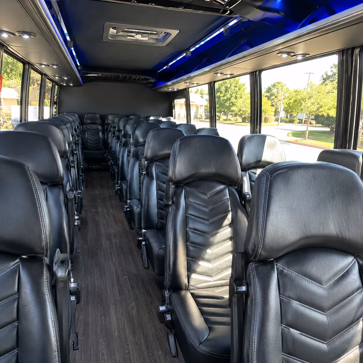 newton 28 passenger minibus inside