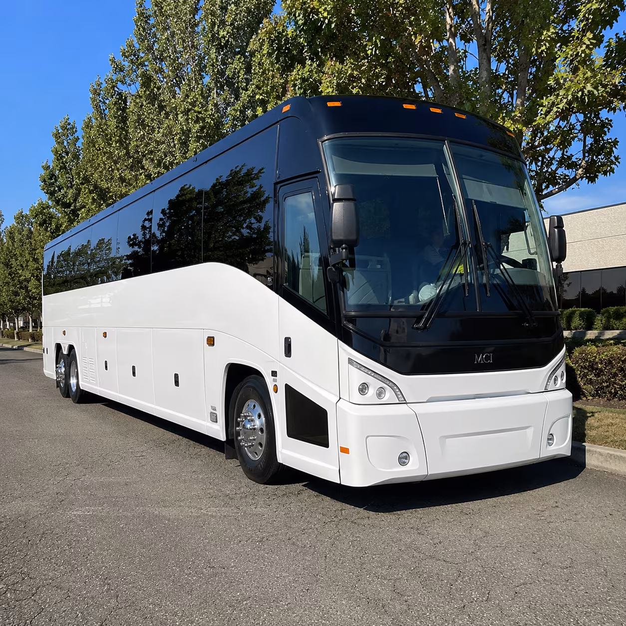 newton 50 passenger charter bus