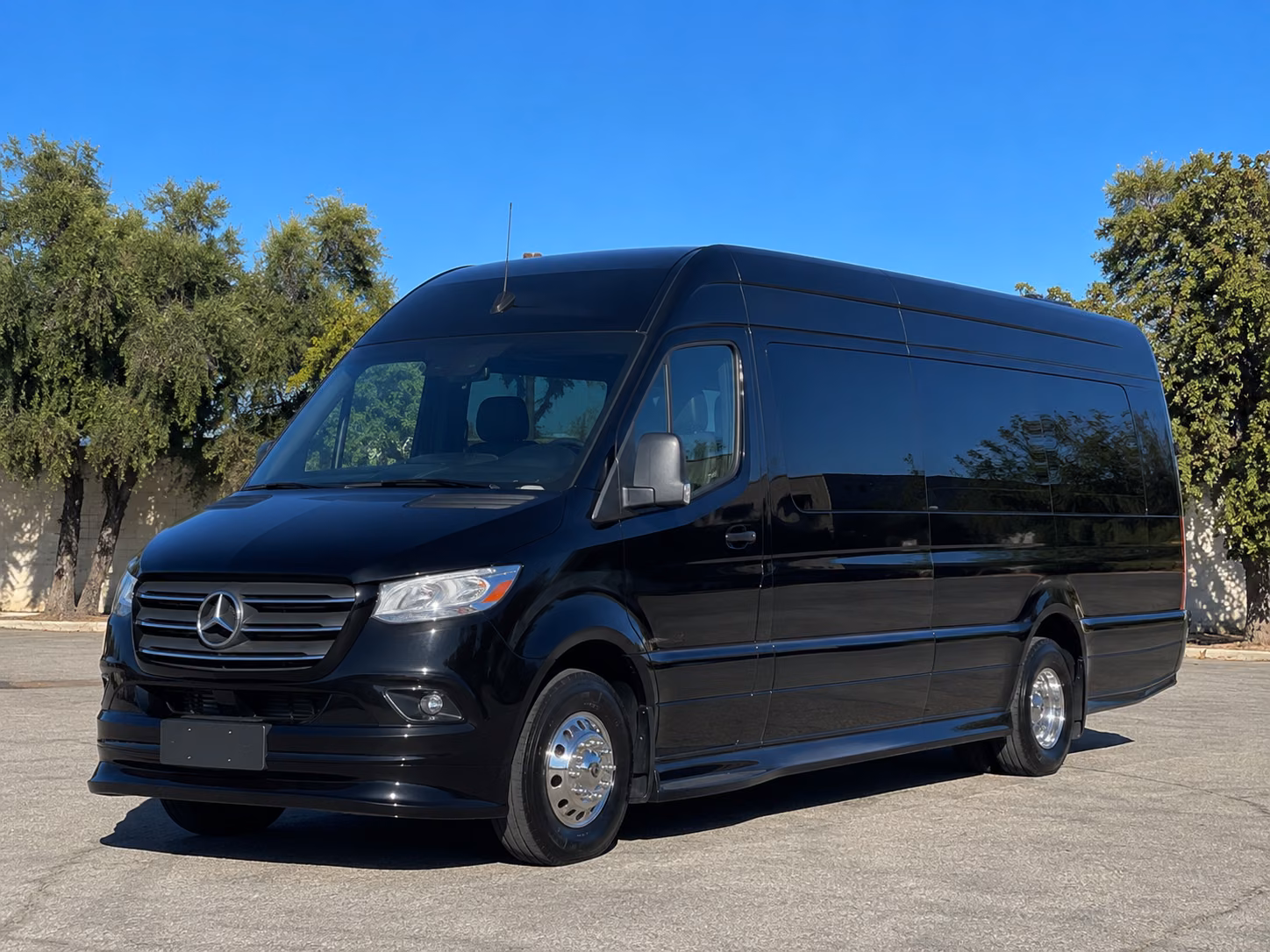newton sprinter van with driver
